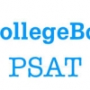 Preliminary Scholastic Aptitude Test (PSAT)